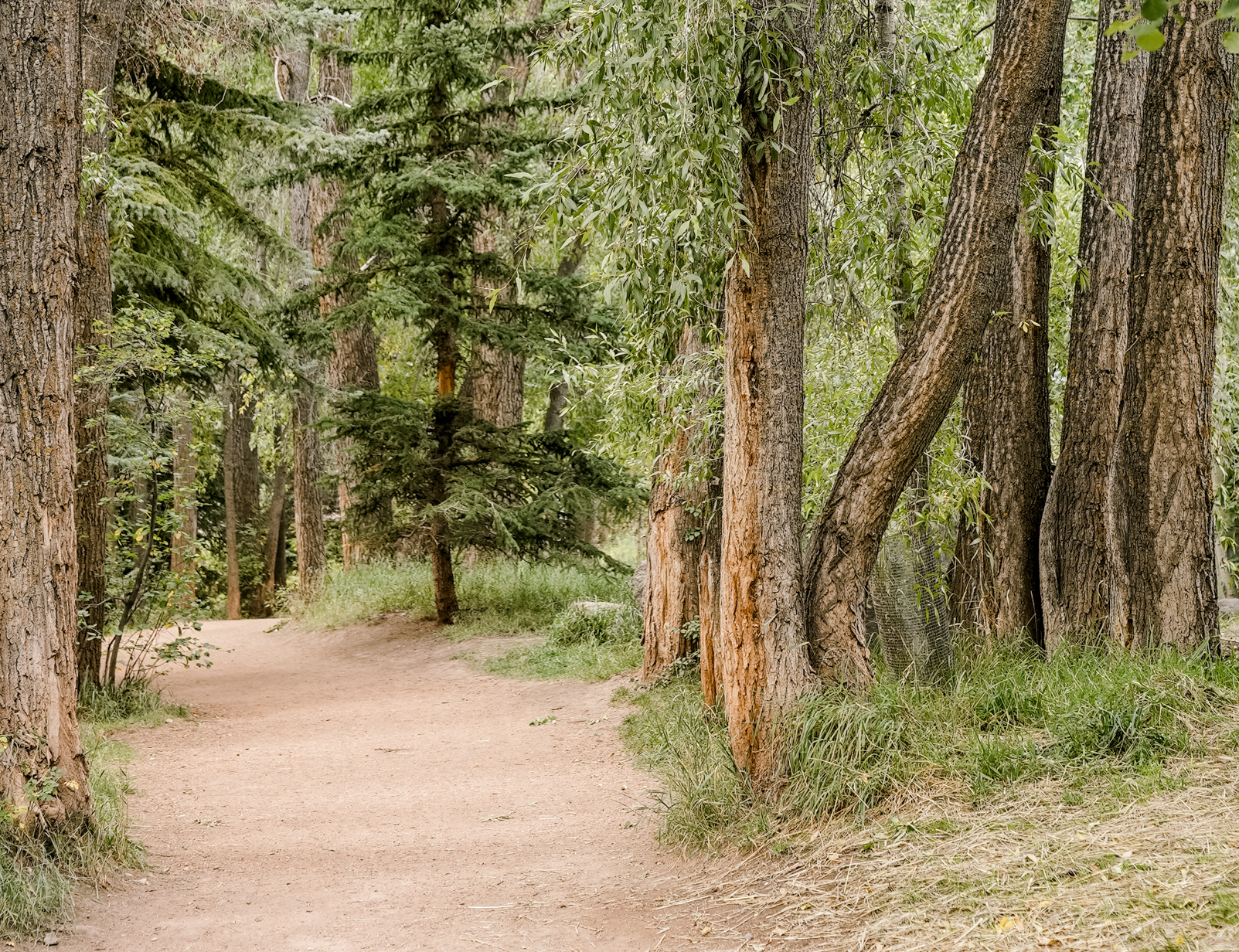 trailhead
