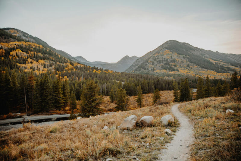 Telluride Trailhead Shuttle